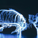 Image for article titled This life-size glass skeleton is illuminated by krypton